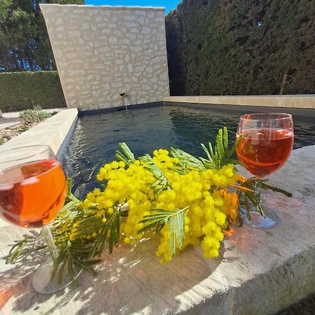 La Maison De Manon, 4-5Personnes, 75M2, Centre Village Avec Piscine Privee 마우세인레알파일즈 외부 사진