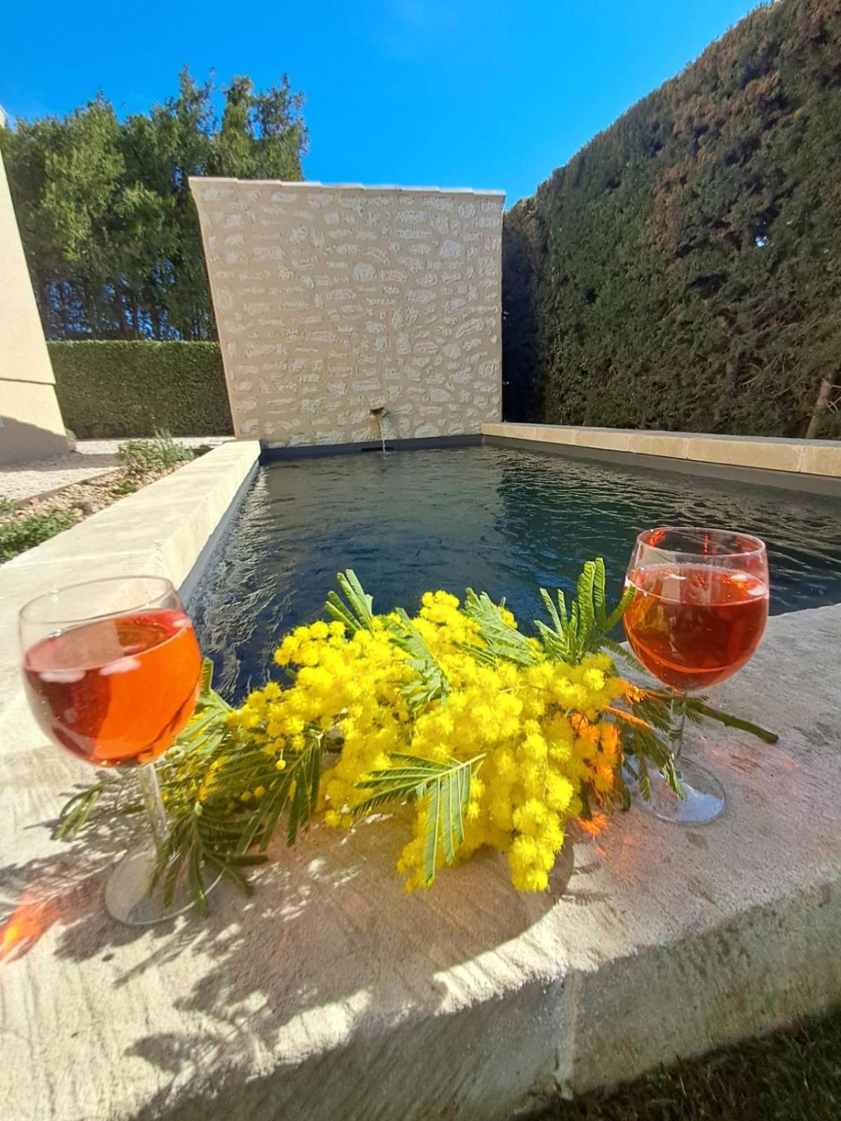 La Maison De Manon, 4-5Personnes, 75M2, Centre Village Avec Piscine Privee 마우세인레알파일즈 외부 사진