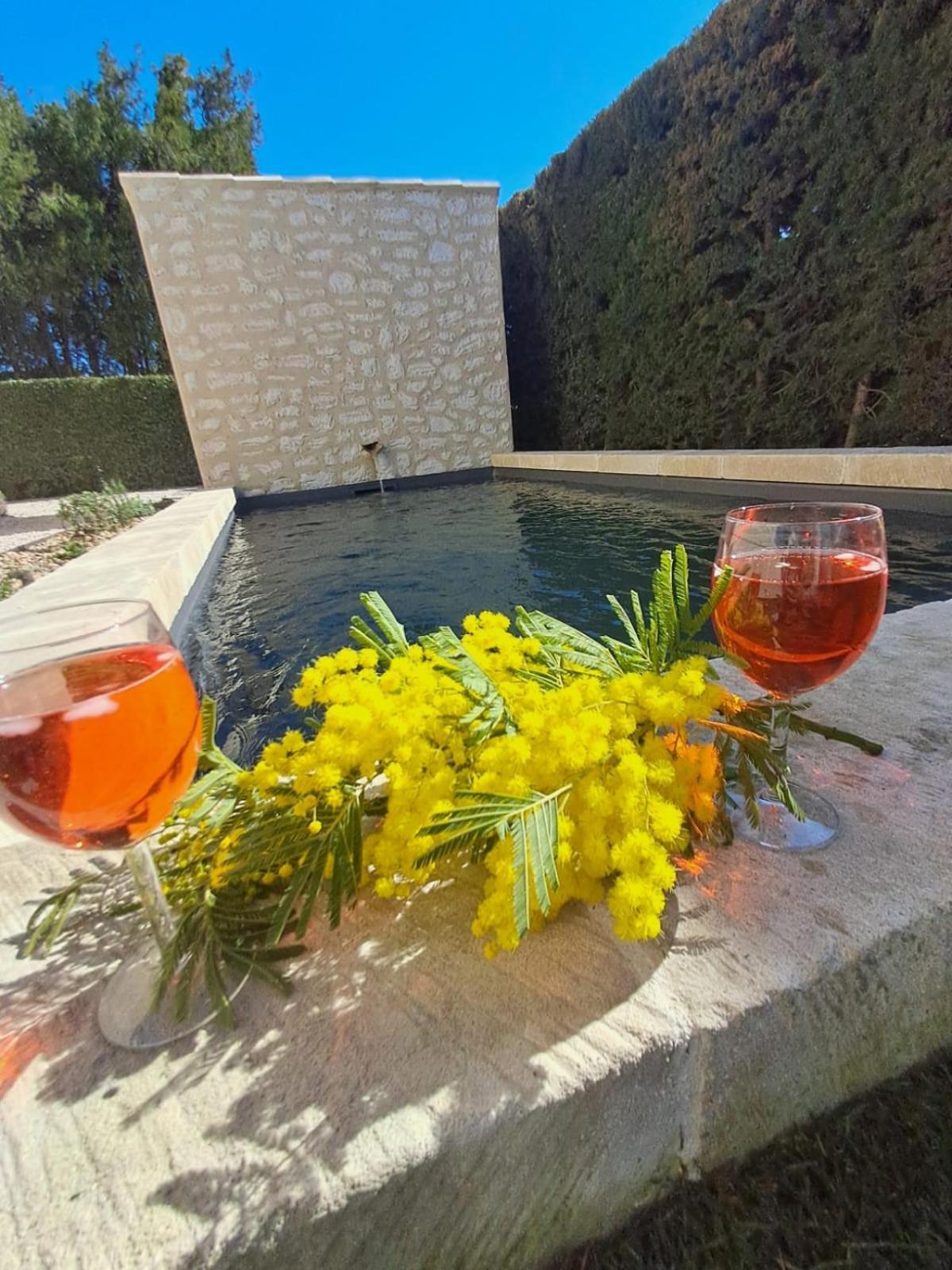 La Maison De Manon, 4-5Personnes, 75M2, Centre Village Avec Piscine Privee 마우세인레알파일즈 외부 사진